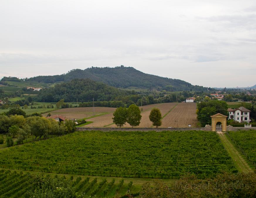 IMG_4429 copy.jpg - Countryside, Villa De Viscovi